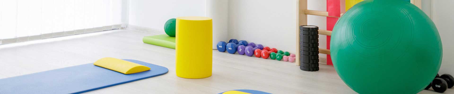 Kentucky Academy of the American Physical Therapy Association